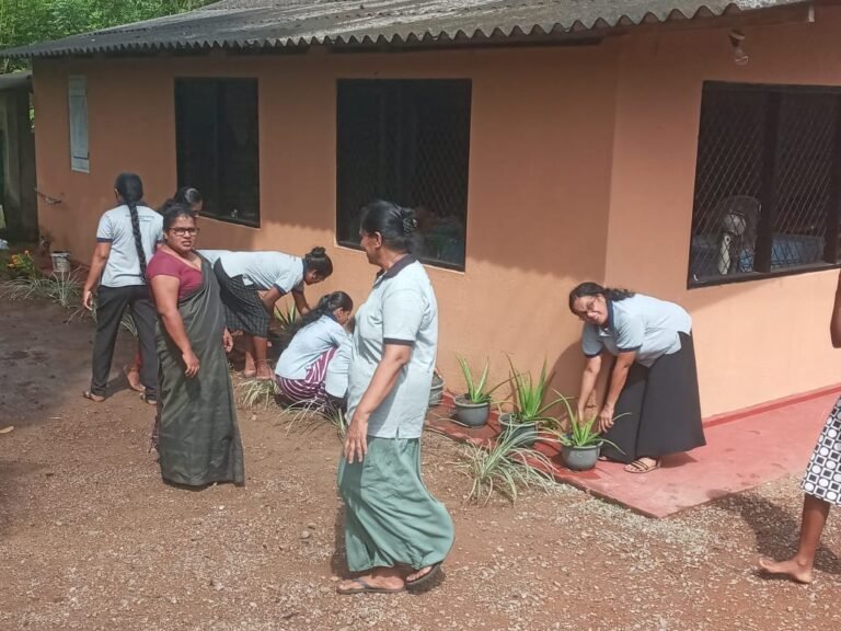 Aloe Vera Project